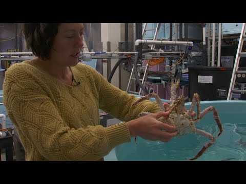 Tour Of Noaa Research Facility With Biologist Erin Fedeway