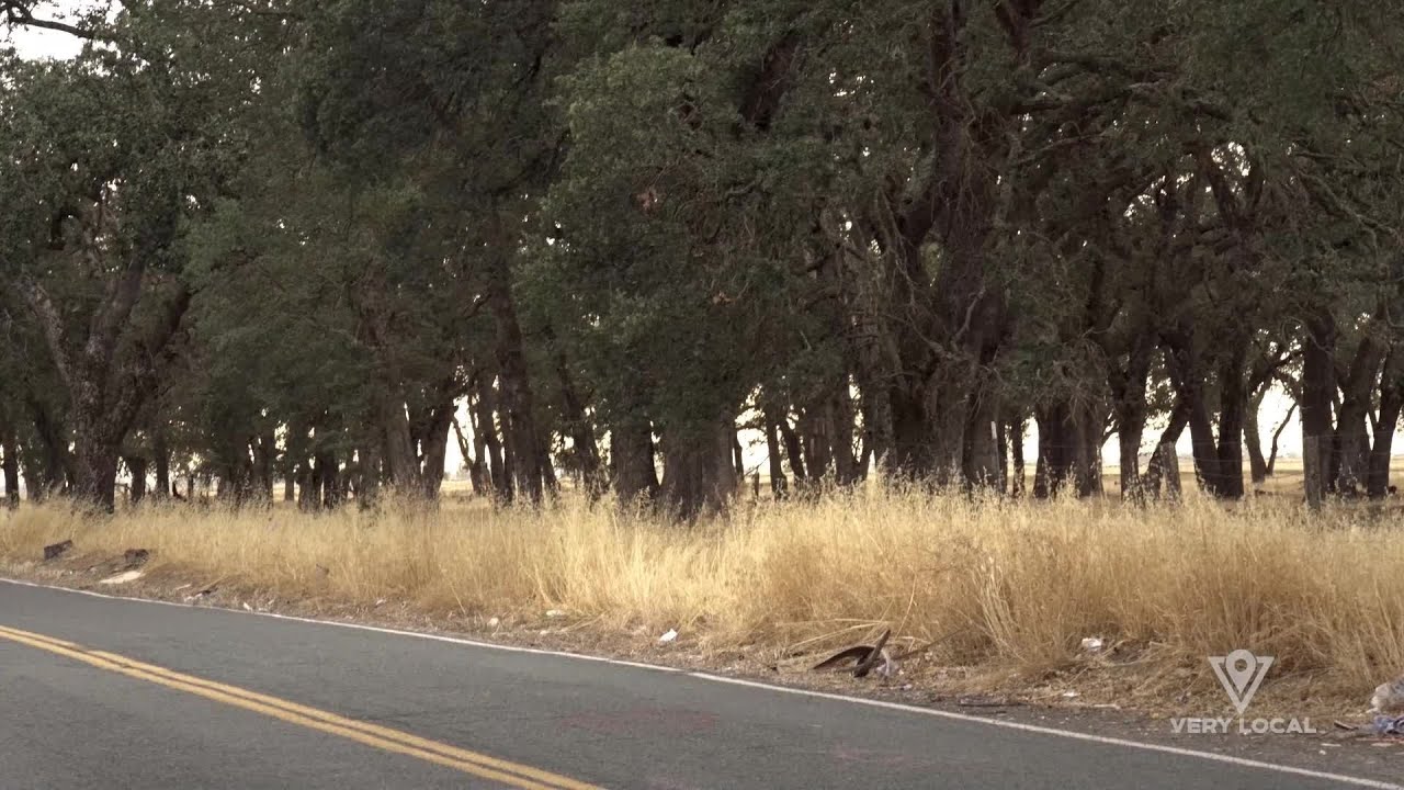 Two Sacramento Influencers Go Ghost Hunting At Dyer Lane And River City Saloon