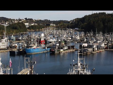 What Scientists Believe Caused Bering Sea Snow Crabs To Vanish And How They Can Be Restored