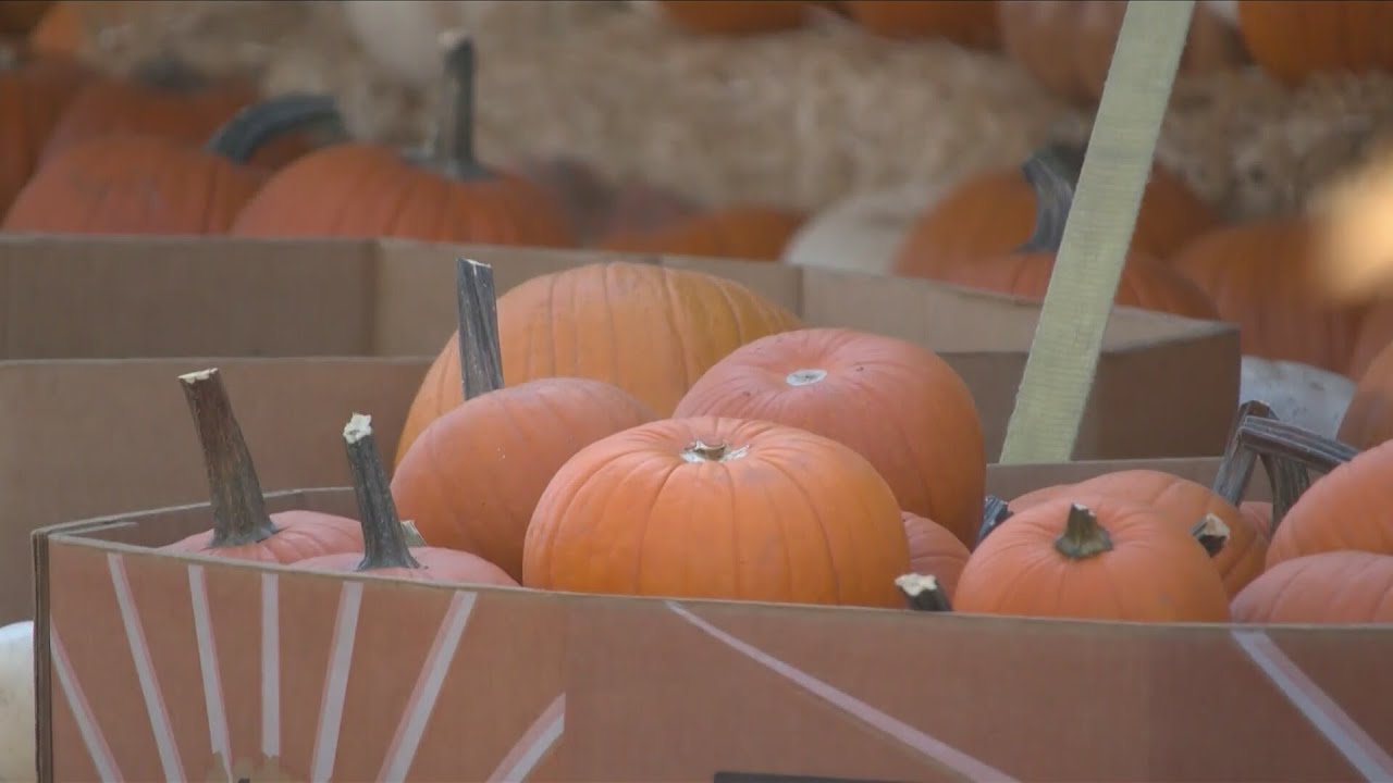 When Will Planet Pumpkin In Fresno Open?