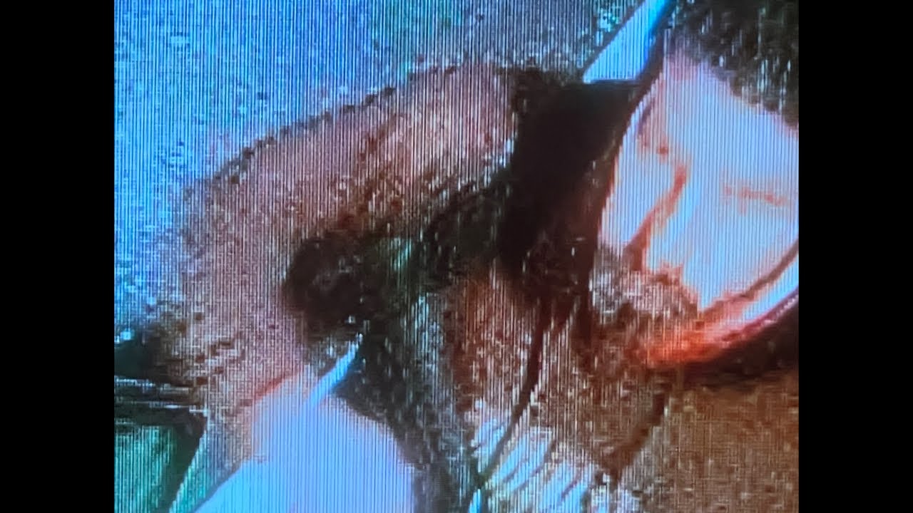 White Guy With An Ar 15 Murdered 22 People, Still At Large In Lewiston Maine – We Need Jesus Christ