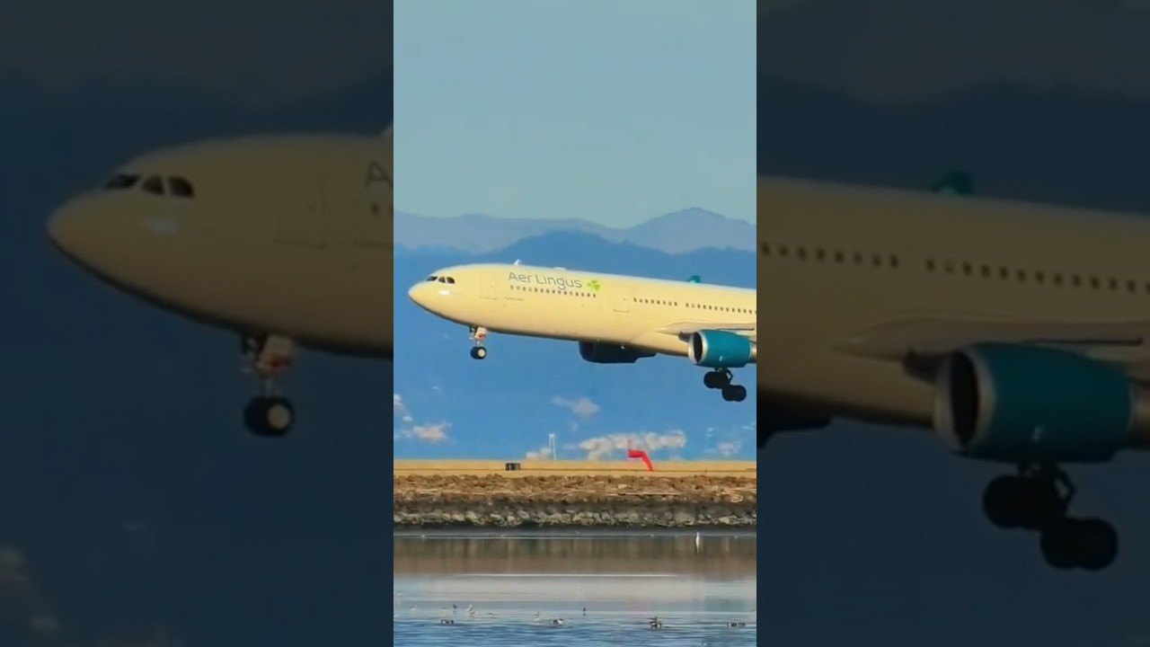 Aer Lingus From Dublin Lands At Sfo Airport ☘️🇮🇪🛬 #sfo #sanfrancisco #planespotting