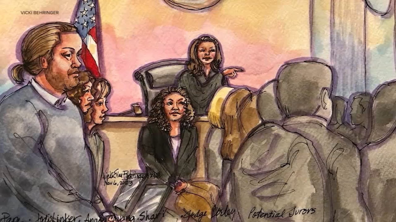 David Depape: Jury Pool For Man Charged With Attack On Paul Pelosi Discuss Politics, Biases