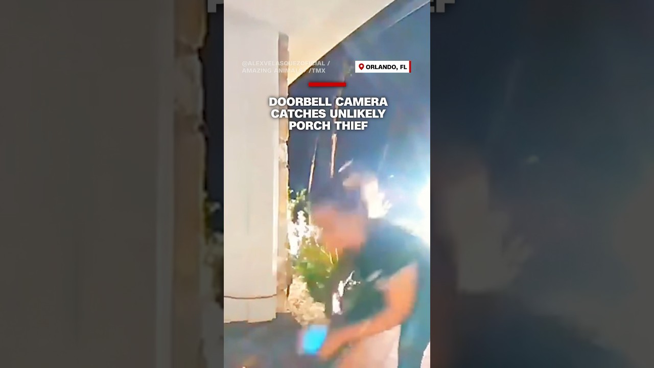 Doorbell Camera Catches Unlikely Porch Thief