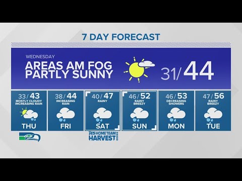 Freezing Temperatures Expected Overnight In Portions Of Western Washington | King 5 Weather