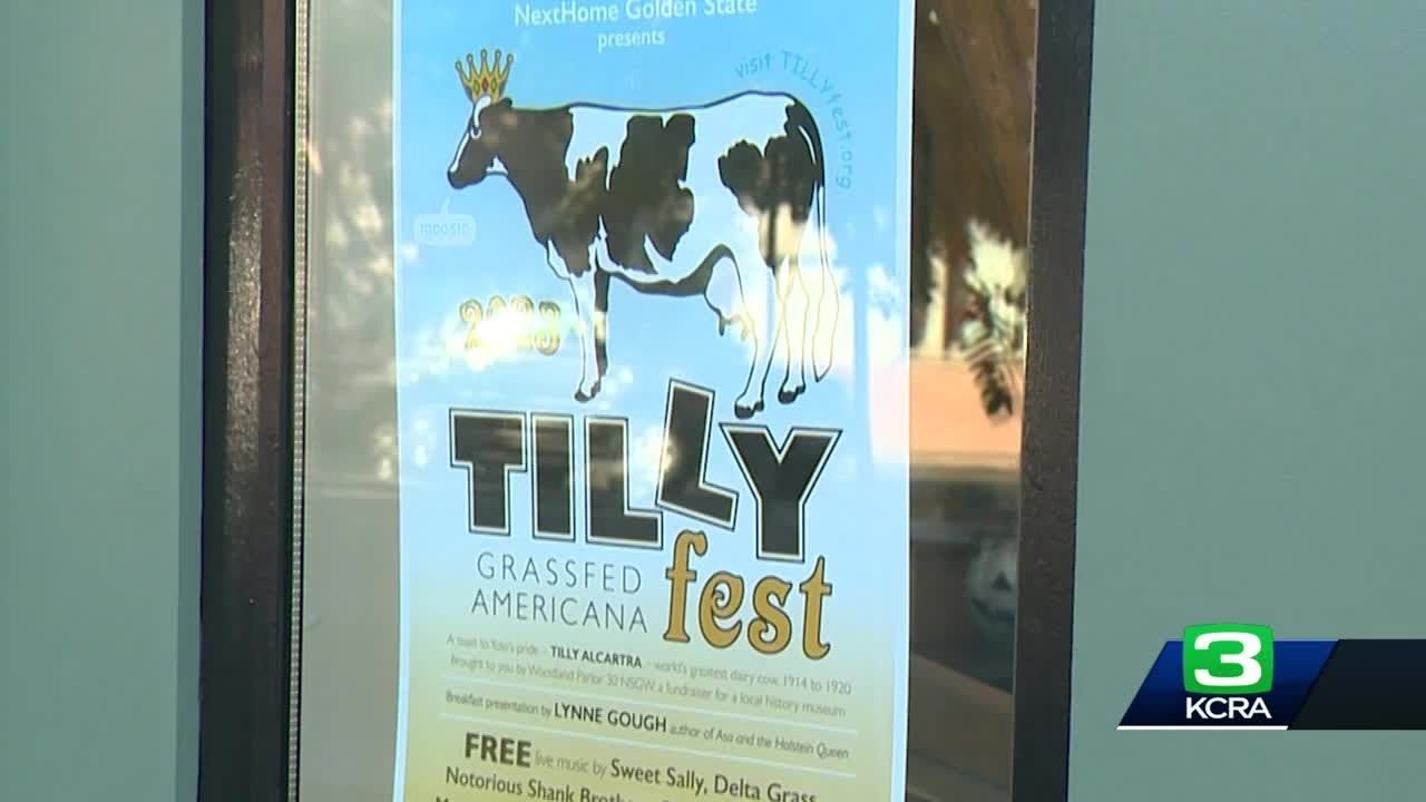 Here’s why a celebrity cow in Woodland is the focal point of this museum’s fundraising event 2 Here’s Why A Celebrity Cow In Woodland Is The Focal Point Of This Museum’s Fundraising Event