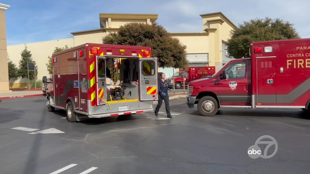 Nearly 70 People Evacuated, Treated After Bear Mace Sprayed At East Bay Store: Police