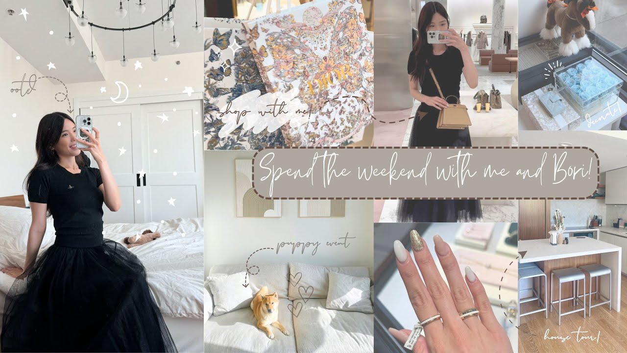Spend The Weekend With Me + My Shiba! 💖🐕 Sf Apartment Tour, New Release Shopping, Doggy Event!
