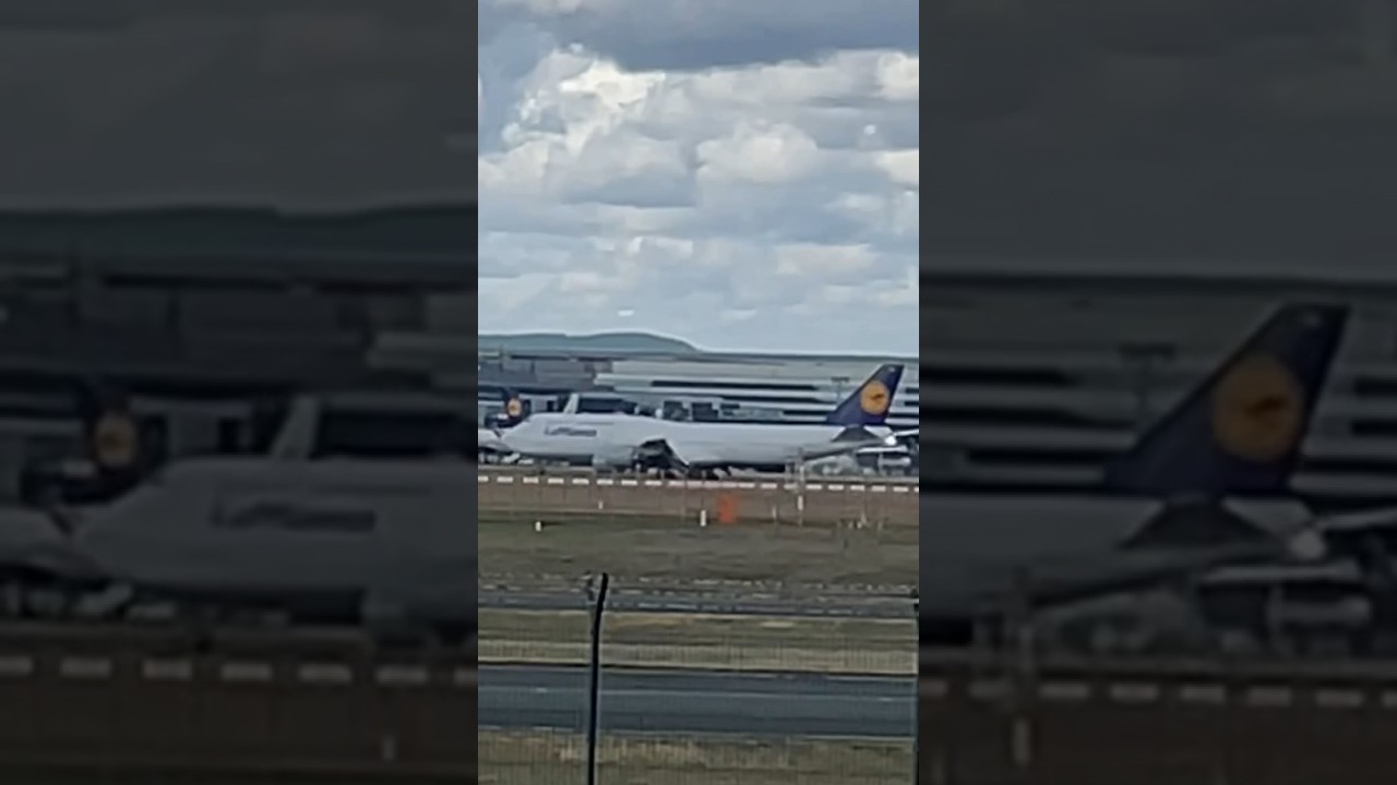THE QUEEN 👑 747 by #Lufthansa to San Francisco 🇺🇸 #shorts #aviation #airport #fra #takeoff 2 The Queen 👑 747 By #lufthansa To San Francisco 🇺🇸 #shorts #aviation #airport #fra #takeoff