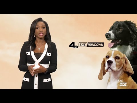 The Rundown: Thursday November 16, 2023 | Nbcla