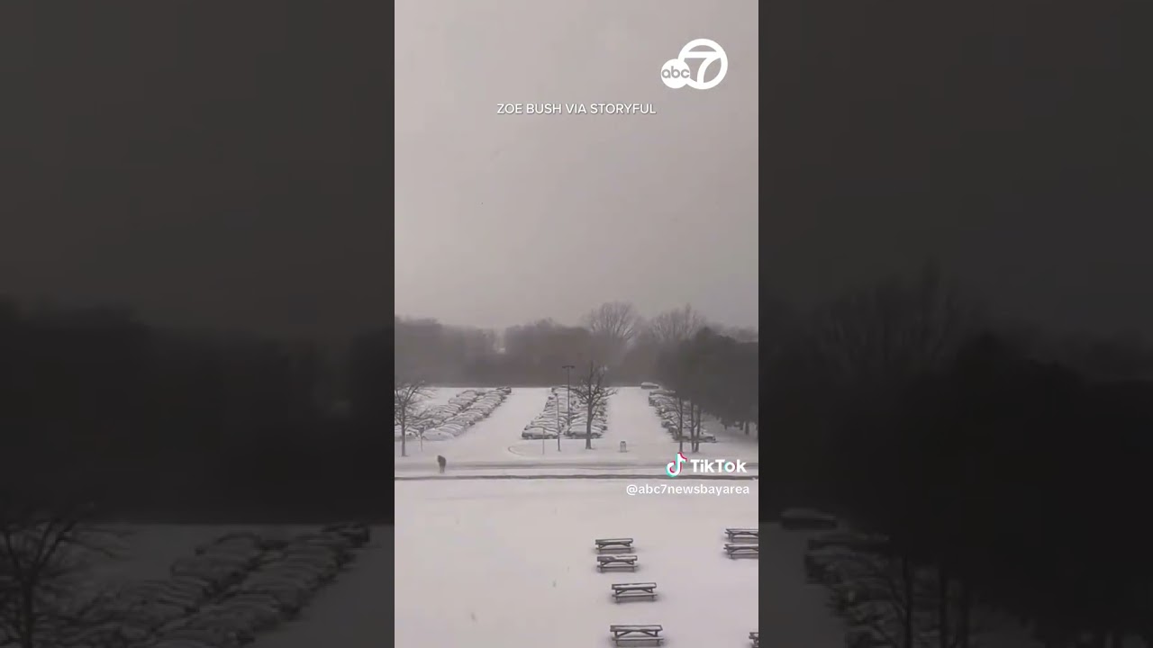 Timelapse Captures Lake Effect Snowstorm In New York