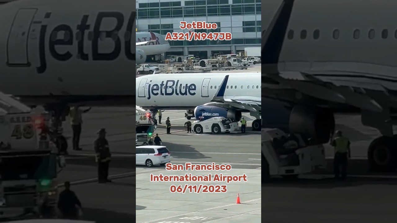 Xe Đẩy Đâm Vào Động Cơ A321 Ở Sân Bay San Francisco #shortvideo #sanbay #a321