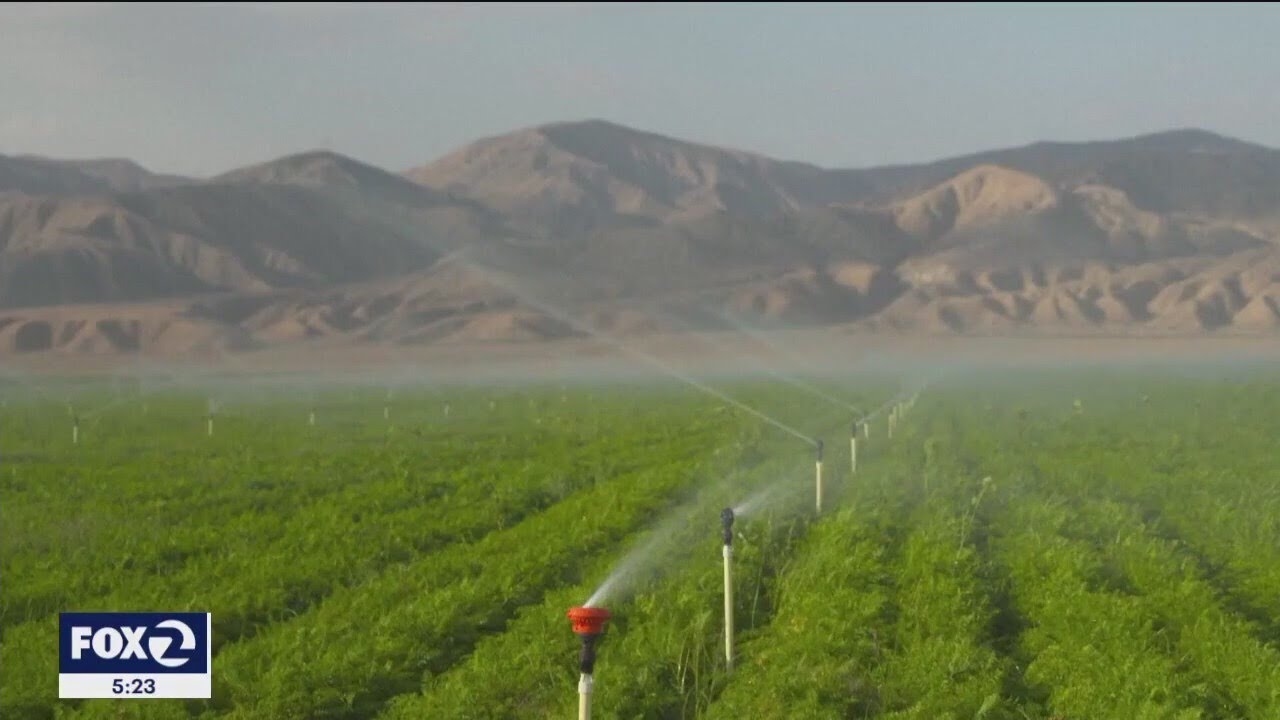 Are More Mostly Dry Months Ahead For California?