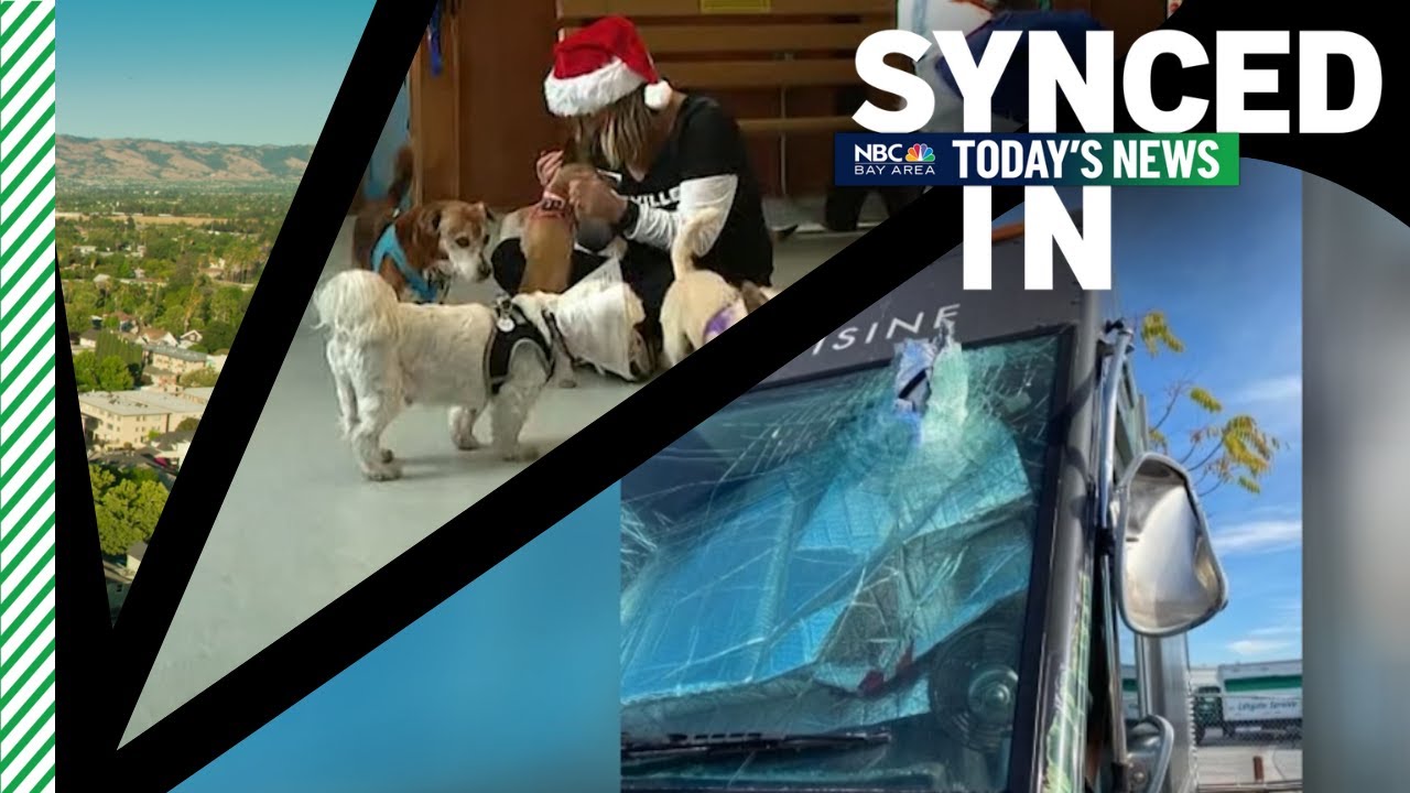 In the news: Food truck damaged, senior dogs in need of homes, weather forecast 2 In The News: Food Truck Damaged, Senior Dogs In Need Of Homes, Weather Forecast