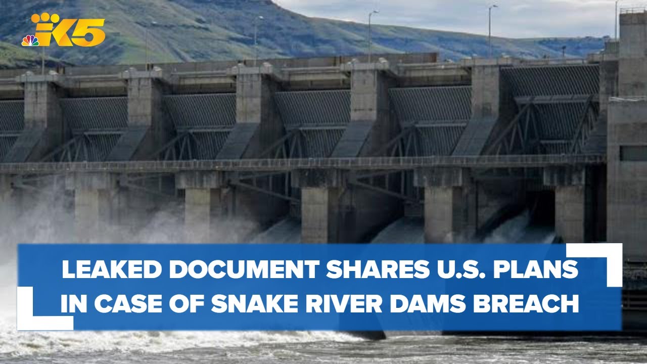 Leaked Document Says Us Is Willing To Build Energy Projects In Case Snake River Dams Are Breached