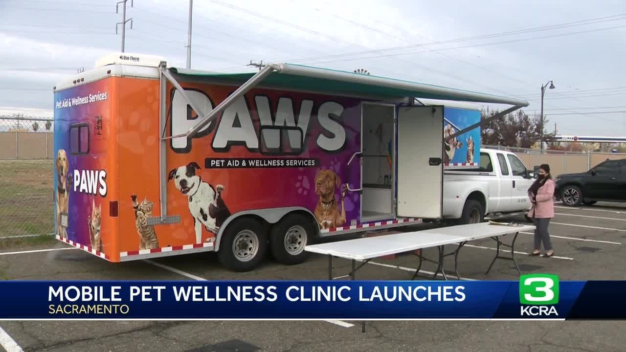 Mobile Pet Clinic Opens To Help Homeless People Get Pet Care