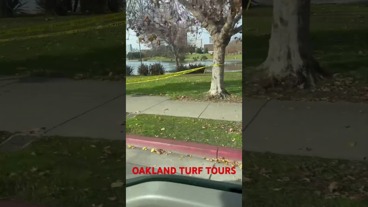 Oakland turf tours lake Merritt crime scene #thecontentdj #trash #cleanup #hood #cali #turfnews 🤬🛑 2 Oakland Turf Tours Lake Merritt Crime Scene #thecontentdj #trash #cleanup #hood #cali #turfnews 🤬🛑