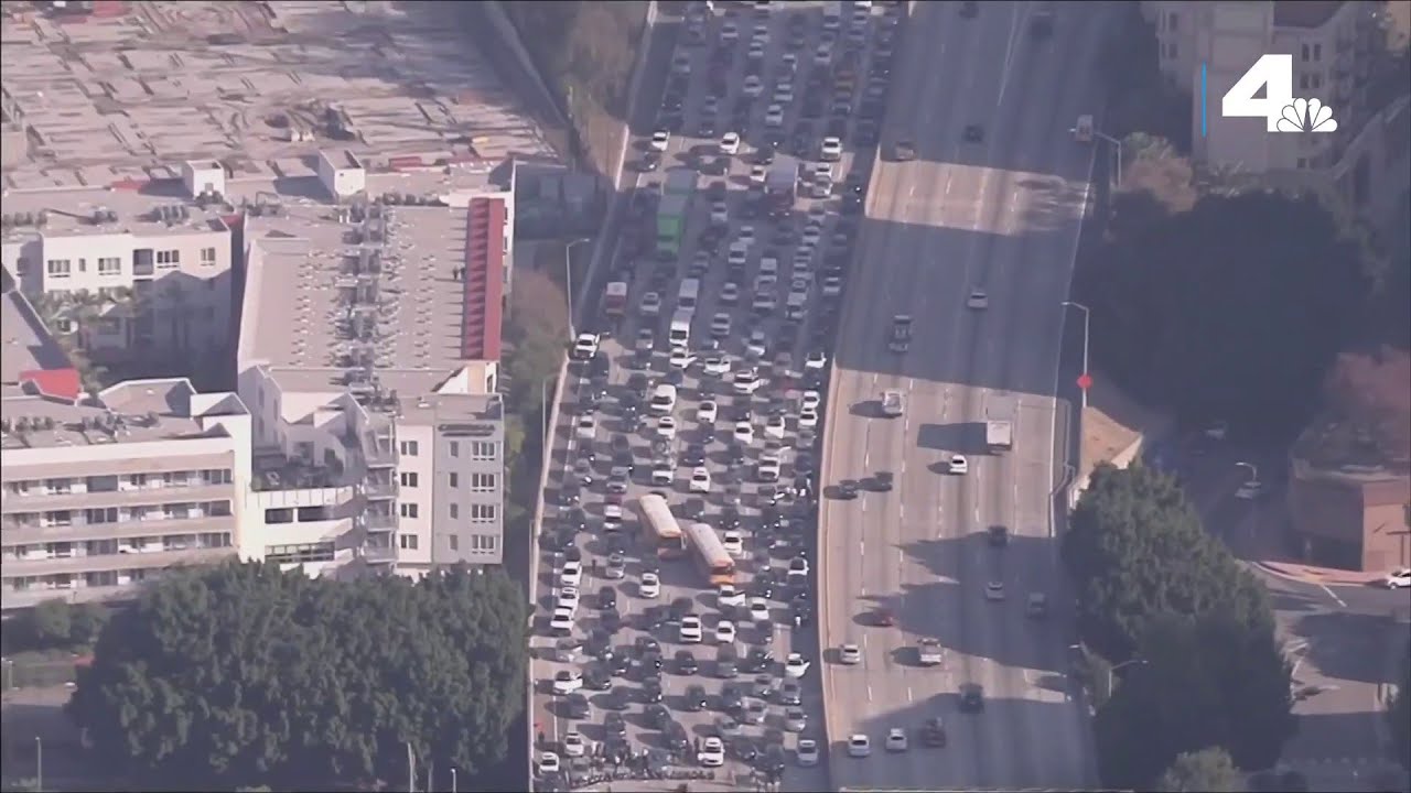 Protest Shuts Down 110 Freeway In Downtown La