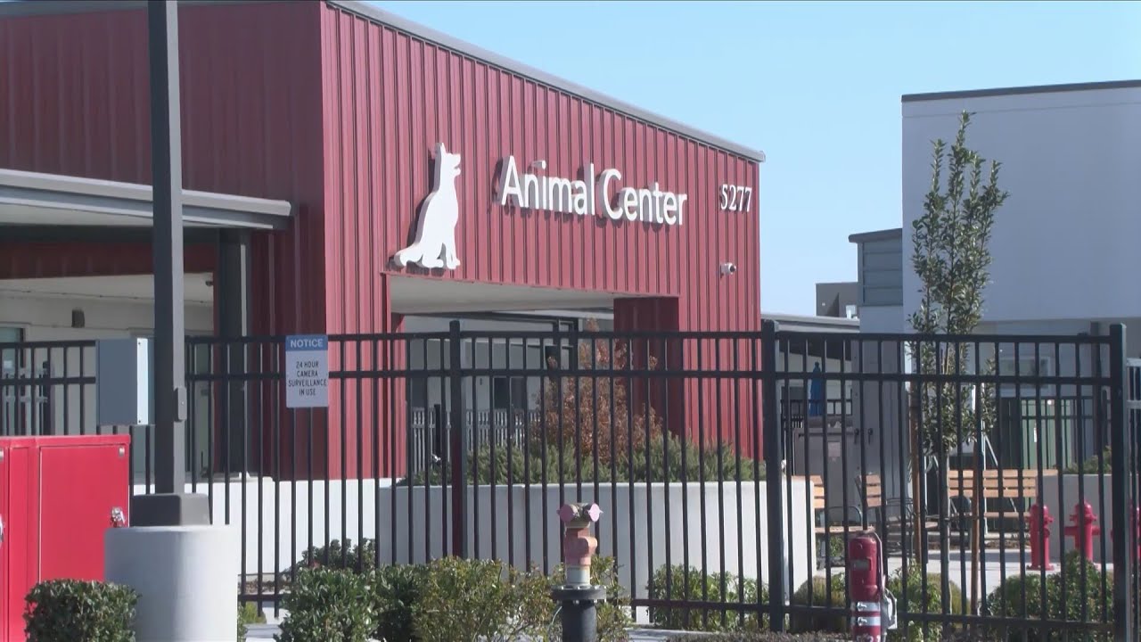 Reduce Intake At Fresno Animal Center, Say Uc Davis Vets