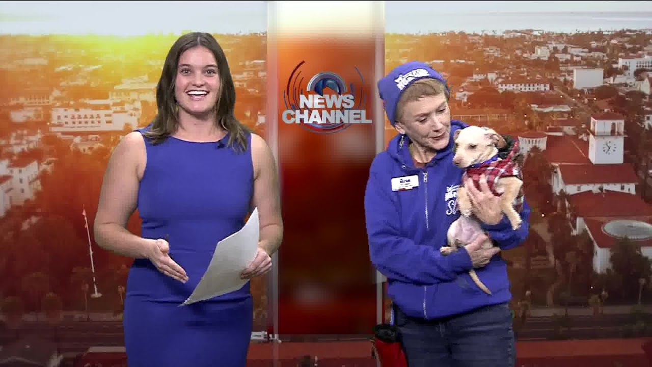 Santa Barbara Humane Chief Operating Officer Stops By With Special Furry Guest On Morning …