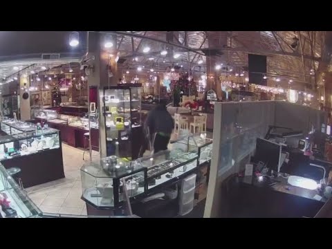 Thieves scatter after store employee pulls out gun to thwart robbery 2 Thieves Scatter After Store Employee Pulls Out Gun To Thwart Robbery