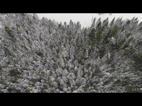 Why Is There So Little Snow In The Western Washington Mountains Right Now?