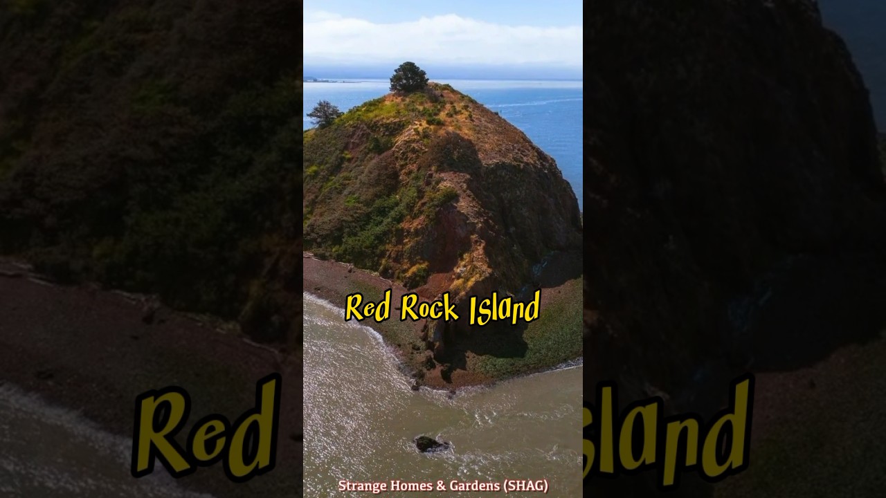 YOU Can OWN an Island in the San Francisco Bay!!! #realestate #youtubeshorts #shorts 2 you can own an island in the san