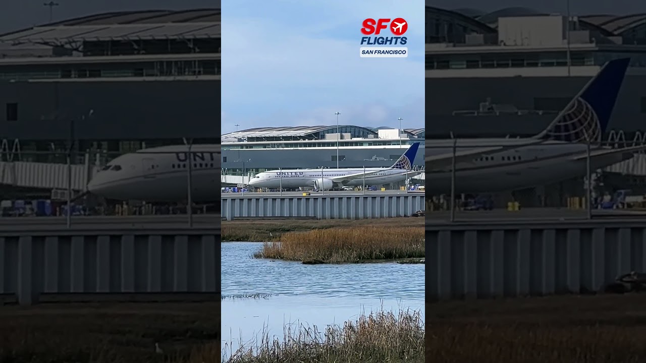 airline united location san fra