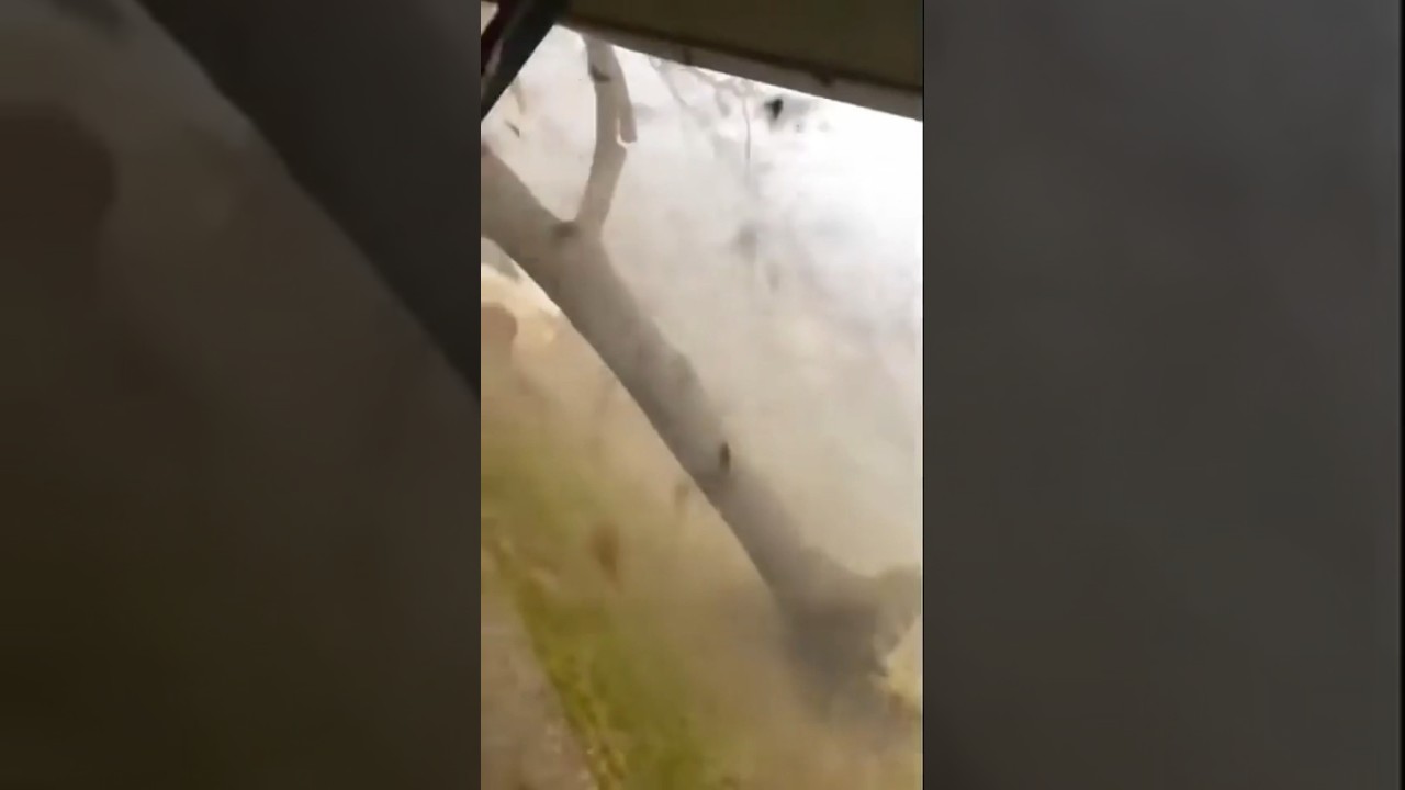 from warning to sudden storm in
