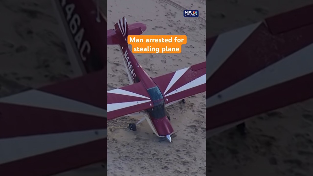man arrested after stolen plane 2