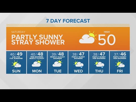 partly sunny stray showers king