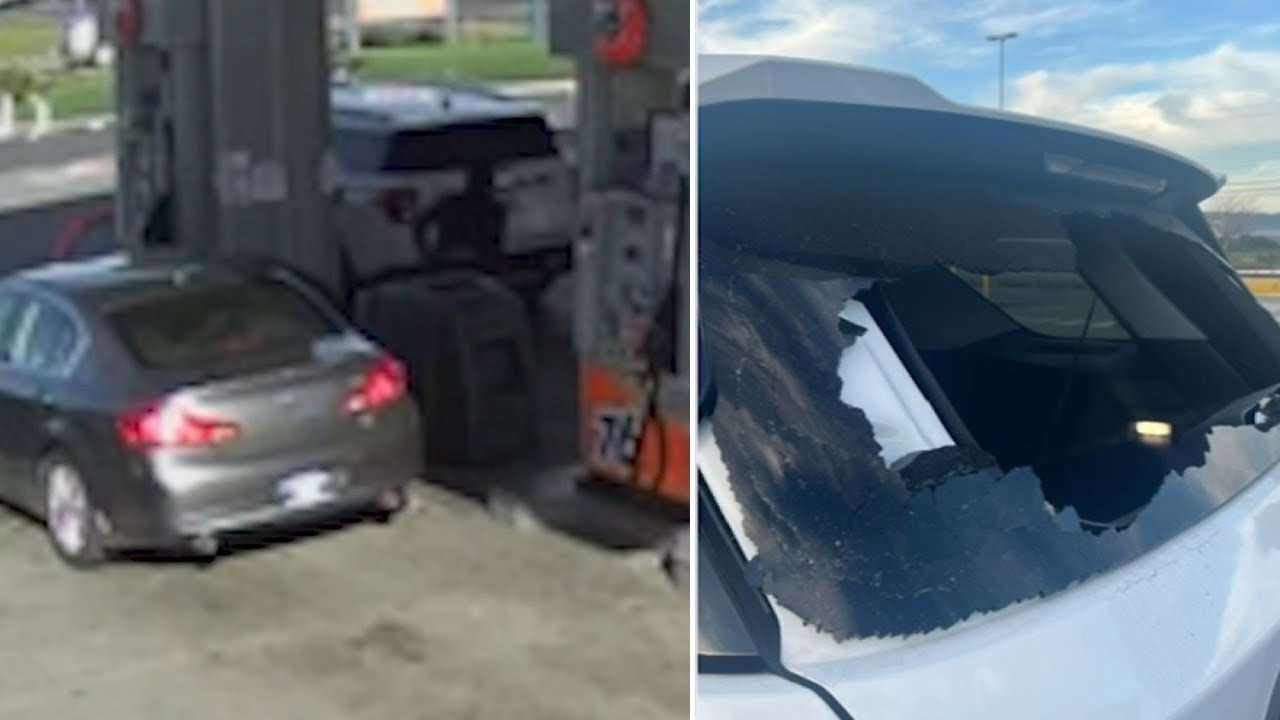texas mom offering 10000 reward