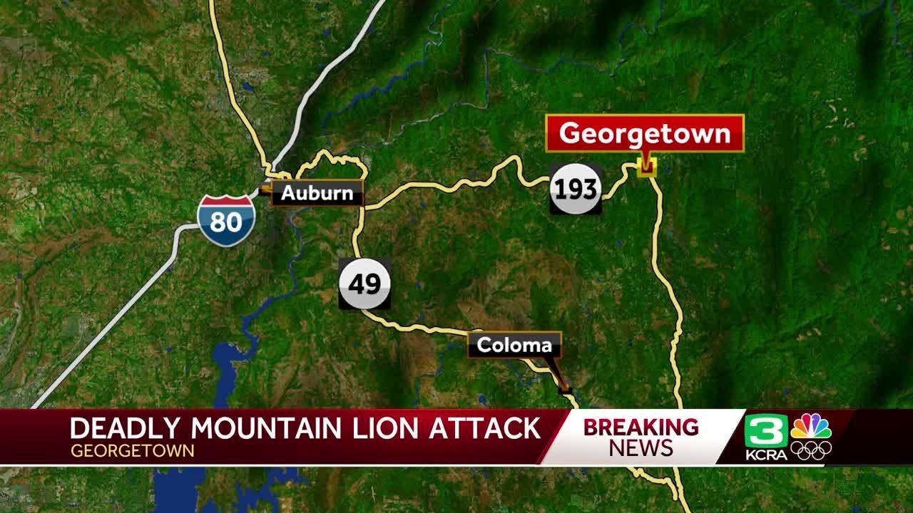 21 year old killed by mountain l