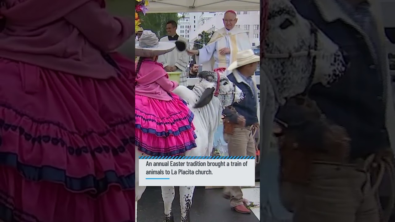 annual blessing of the animals