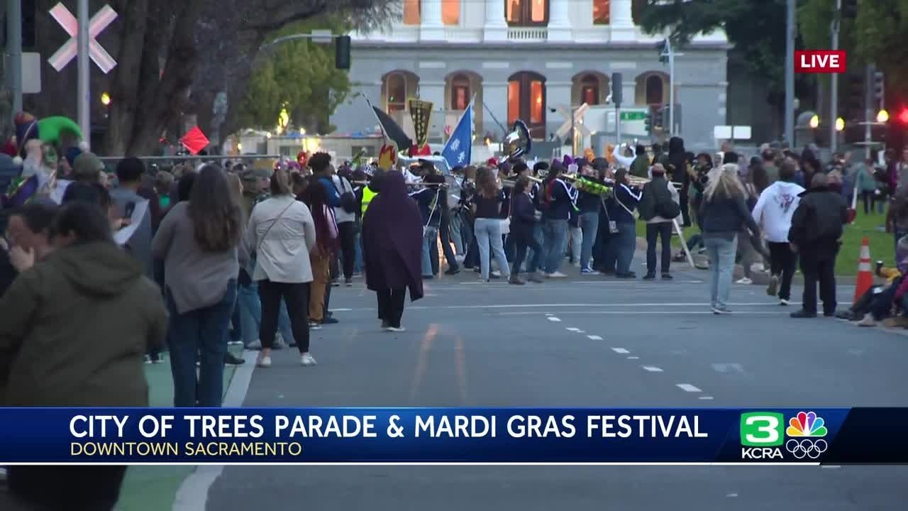 'Art, music and culture': City of Trees Parade and Mardi Gras Festival highlights Sacramento-area... 2 art music and culture city of tr