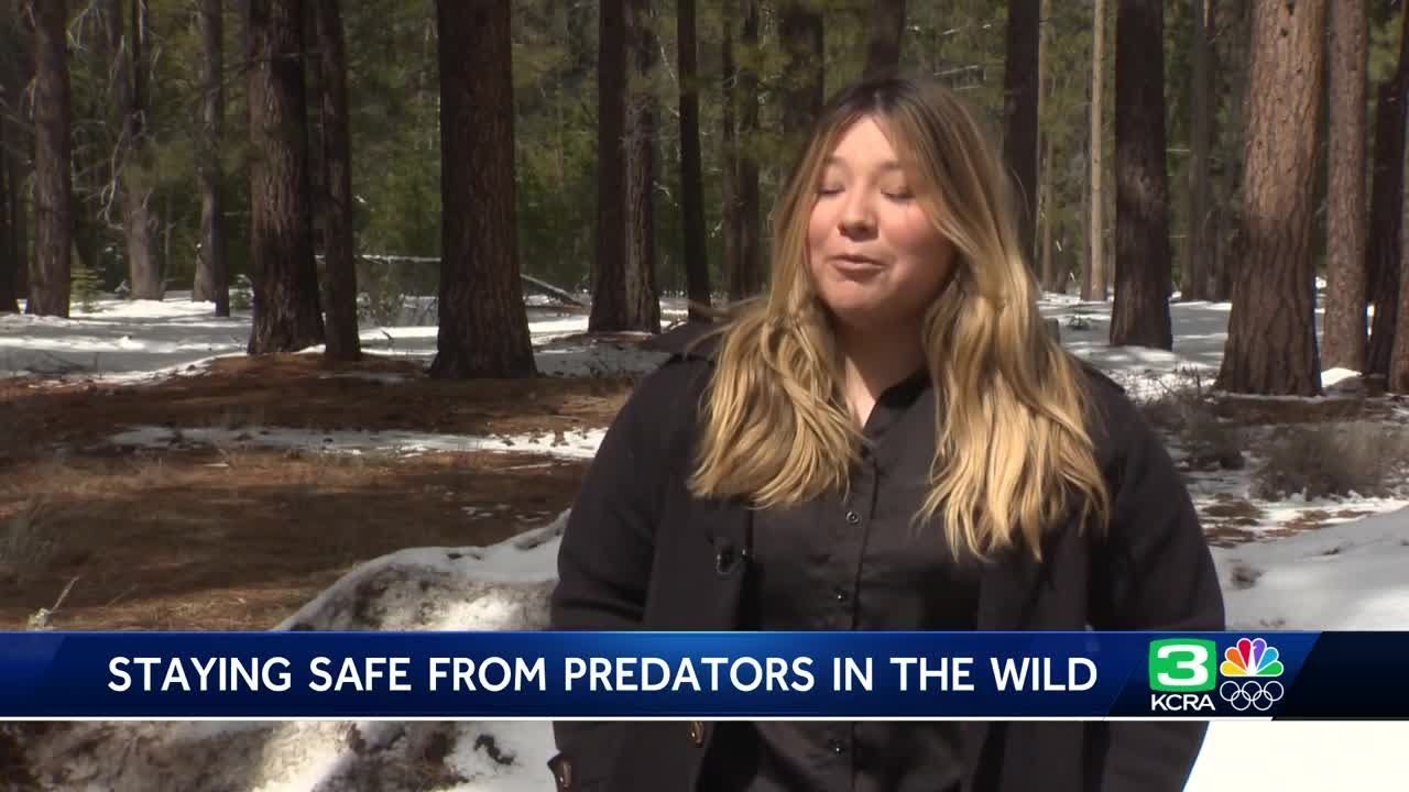 experts share how to protect you