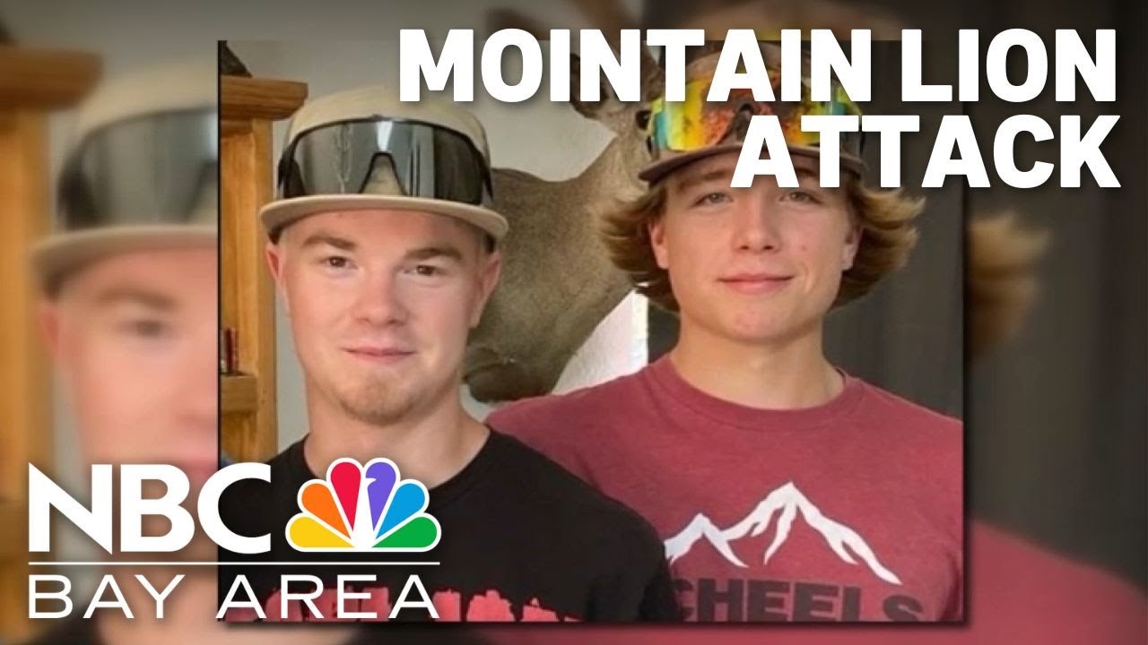 family of boys attacked by mount
