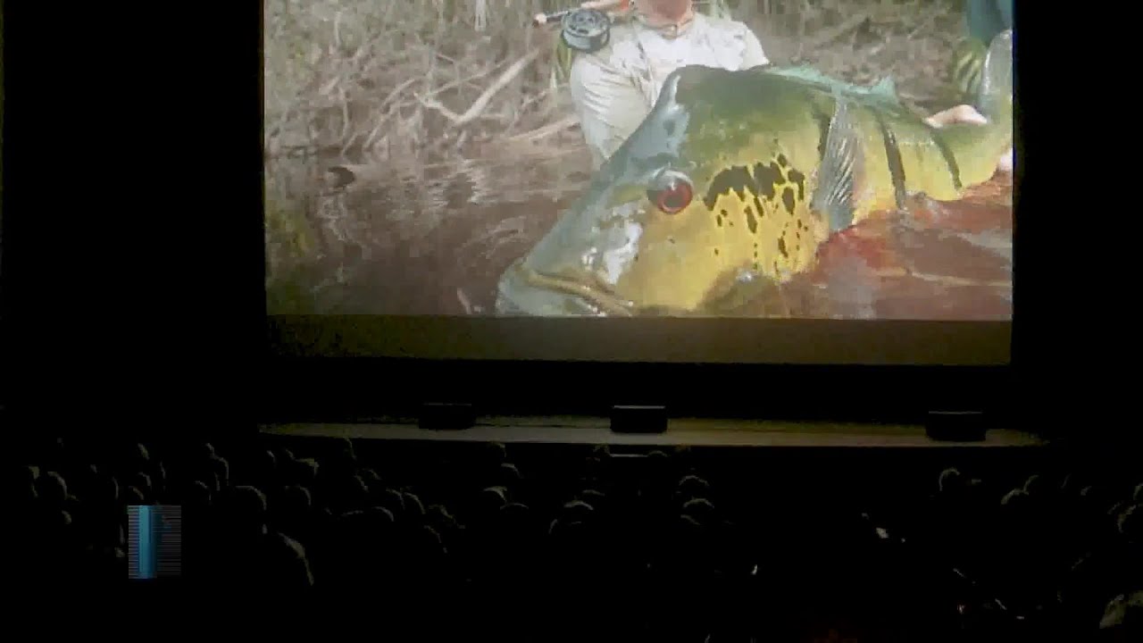 fly fishing film tour catches th