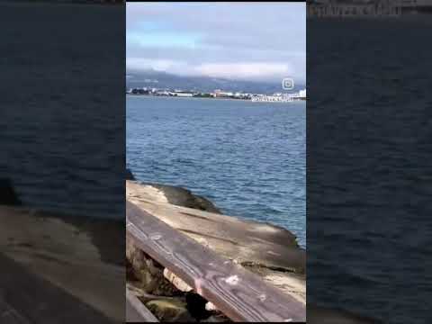 Hilton San Francisco Airport Bayfront|Vlog|RaiGlimpses 2 hilton san francisco airport bay