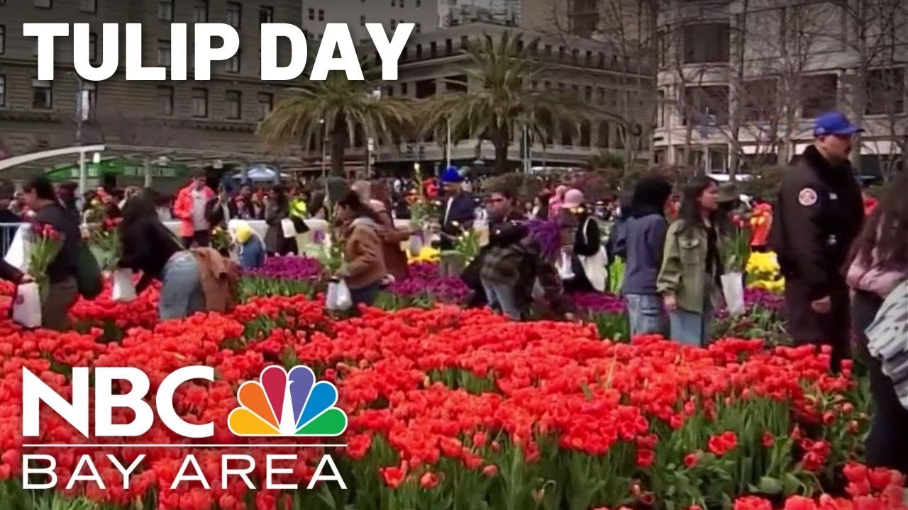 huge crowds come out for san fra