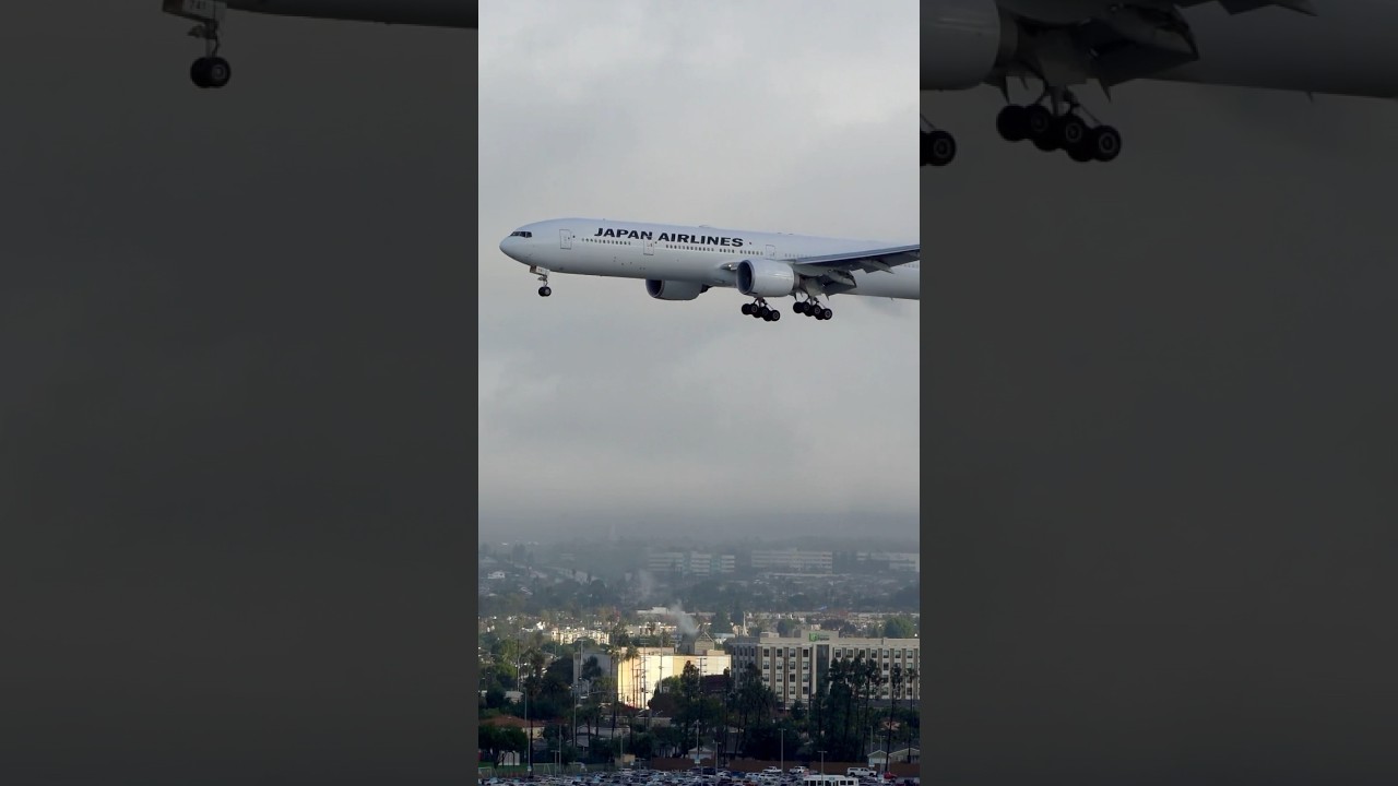 JAPAN Airlines, Boeing777 Landing at LAX Airport, #shortvideo #new #airport #losangeles #news #edit 1 japan airlines boeing777 landing