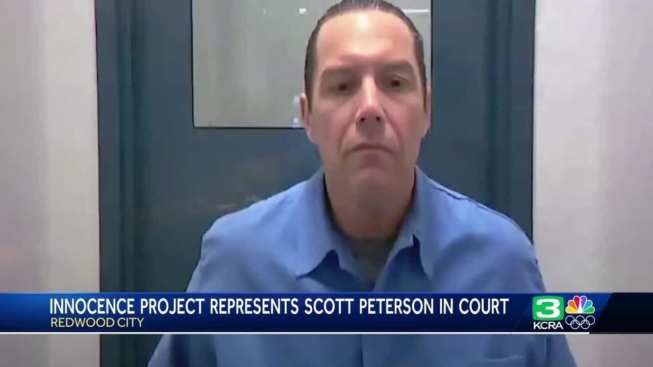 LA Innocence Project represents Scott Peterson in Court 2 la innocence project represents