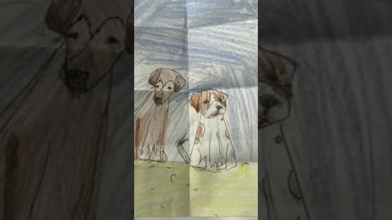 lancaster girl with autism draws