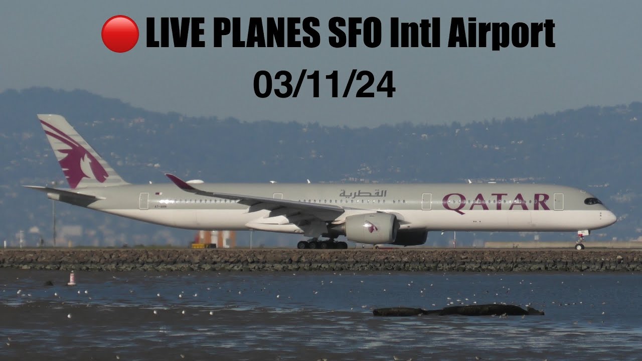 đ´ Live Plane Spotting San Francisco Intl Airport : Arrivals and Departures #live #planes #fyp #live 2 live plane spotting san francis