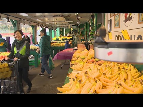 macphersons fruit produce in sea