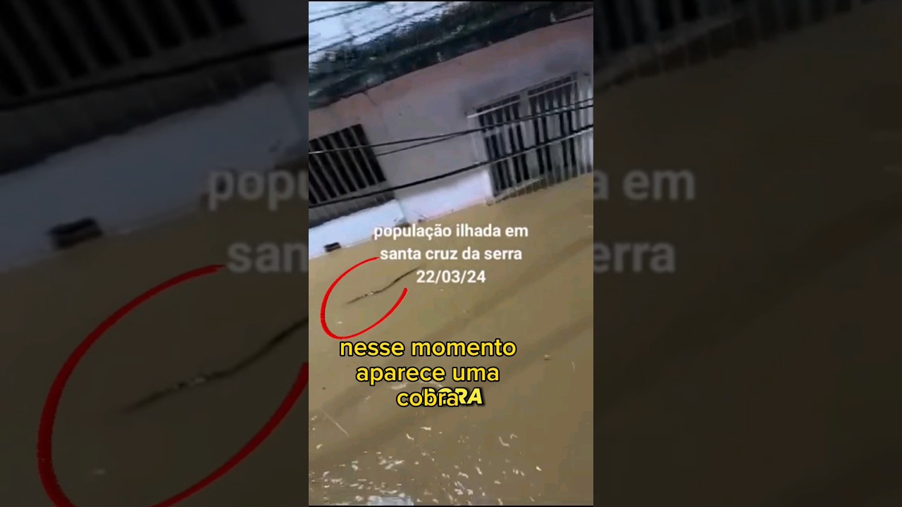 moradores ilhados em santa cruz