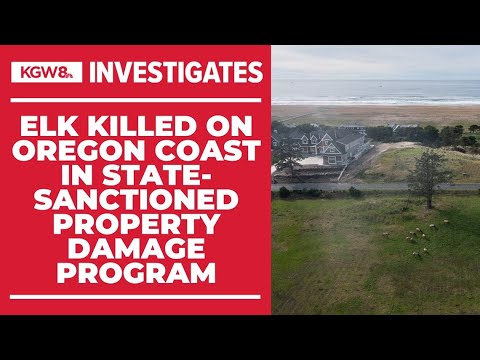 odfw sanctioned killing hundreds