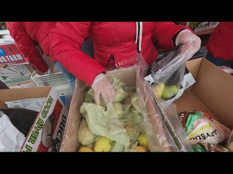 oregons minority famers food ban