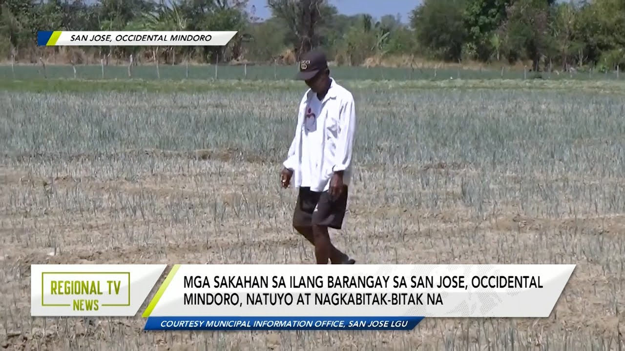regional tv news san jose occide