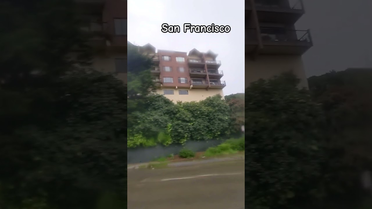 san francisco neighborhood on a